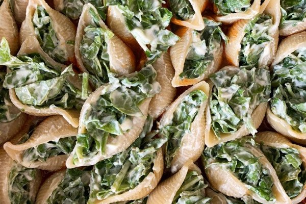 Pasta With Spinach Cheese