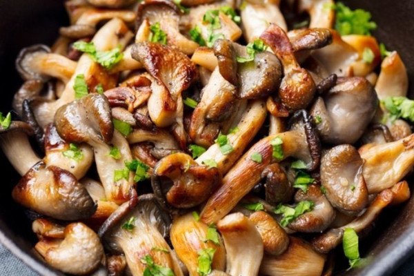 Oyster Mushroom Sauteed With Pepper