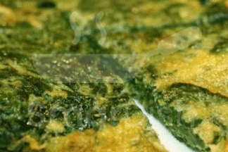 Green Omelette With Cheese
